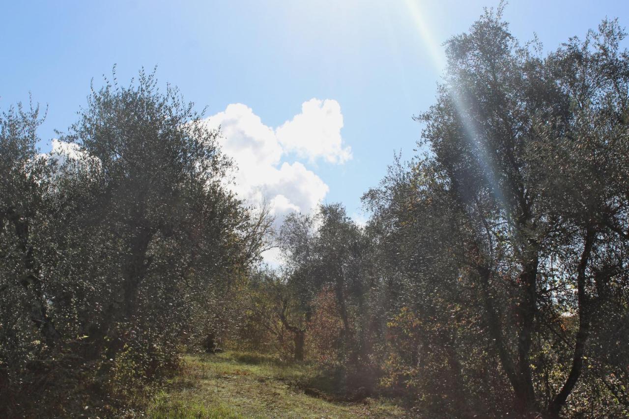 Agriturismo Due Comuni San Gervasio ภายนอก รูปภาพ